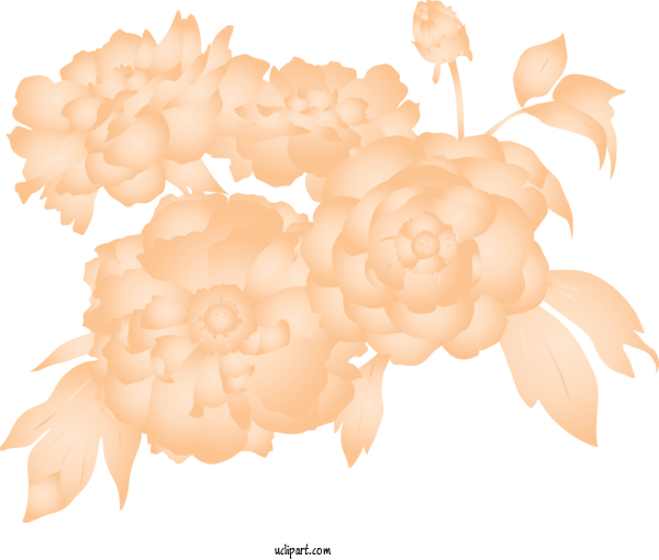 Free Flowers Plant Flower Cloud For Rose Clipart Transparent Background
