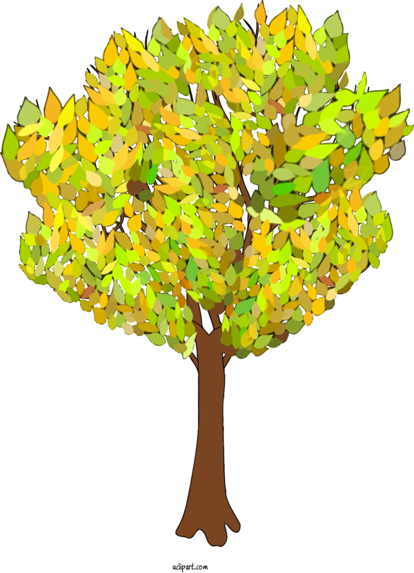 Free Nature Tree Leaf Plant For Tree Clipart Transparent Background
