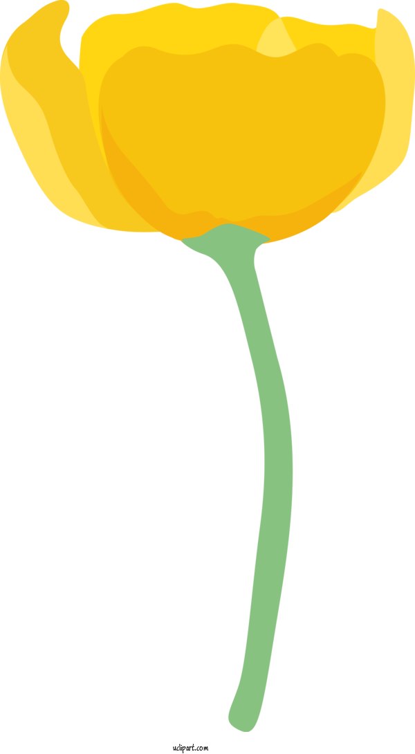 Free Flowers Yellow Orange Plant For Poppy Flower Clipart Transparent Background