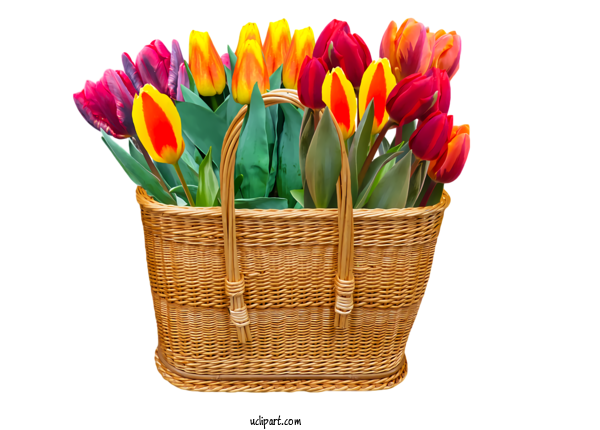 Free Flowers Flower Flowerpot Plant For Tulip Clipart Transparent Background