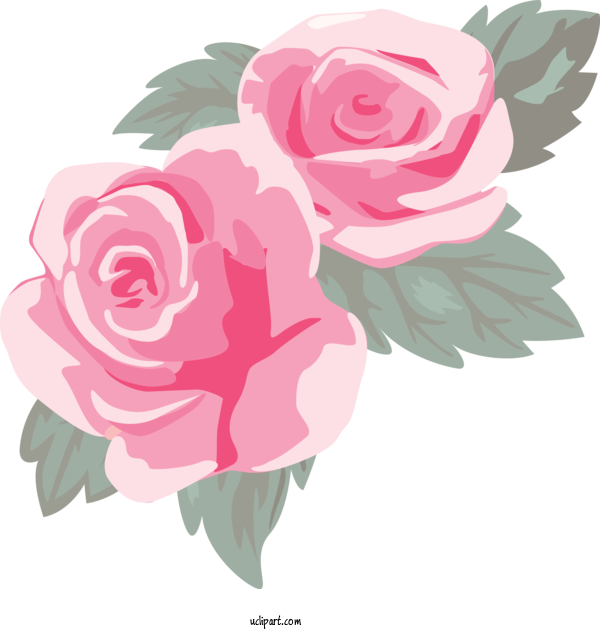 Free Flowers Garden Roses Pink Flower For Rose Clipart Transparent Background