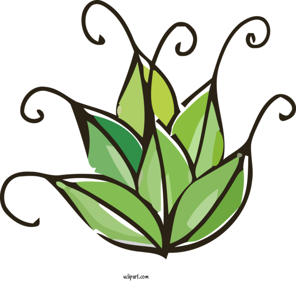 Free Nature Leaf Plant Flower For Tree Clipart Transparent Background