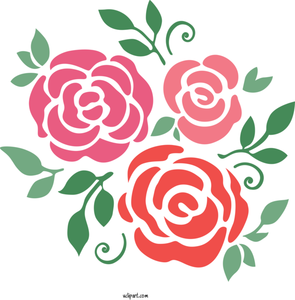 Free Flowers Rose Pink Flower For Rose Clipart Transparent Background