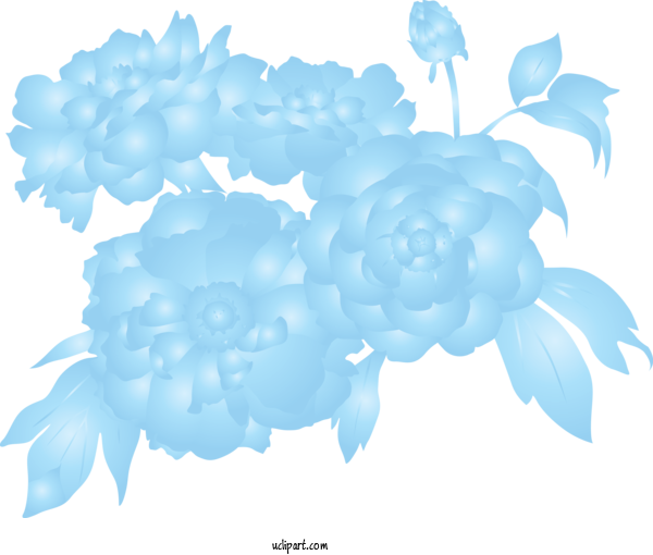 Free Flowers Cloud Leaf Plant For Rose Clipart Transparent Background