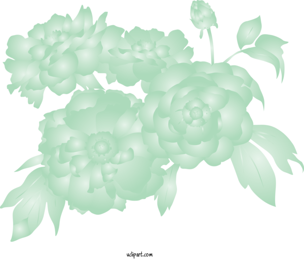 Free Flowers Leaf Plant Flower For Rose Clipart Transparent Background