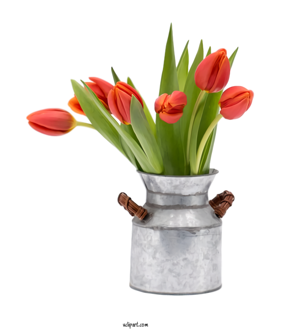Free Flowers Flower Flowerpot Tulip For Tulip Clipart Transparent Background