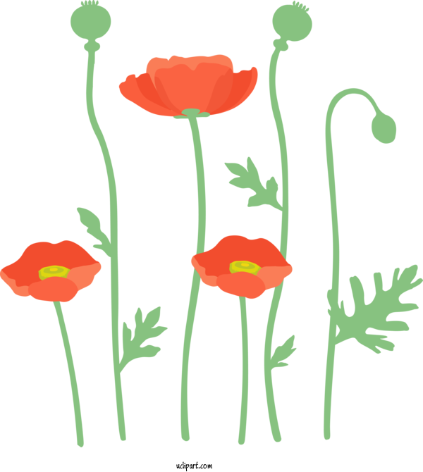 Free Flowers Plant Stem Plant Flower For Poppy Flower Clipart Transparent Background