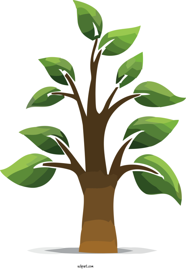 Free Nature Flowerpot Houseplant Plant For Tree Clipart Transparent Background