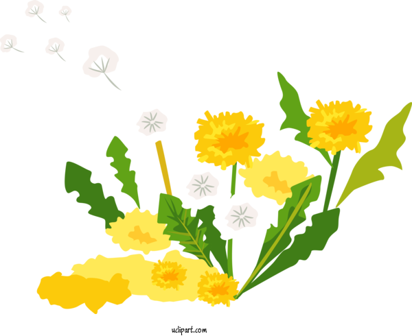 Free Flowers Flower Yellow English Marigold For Dandelion Clipart Transparent Background
