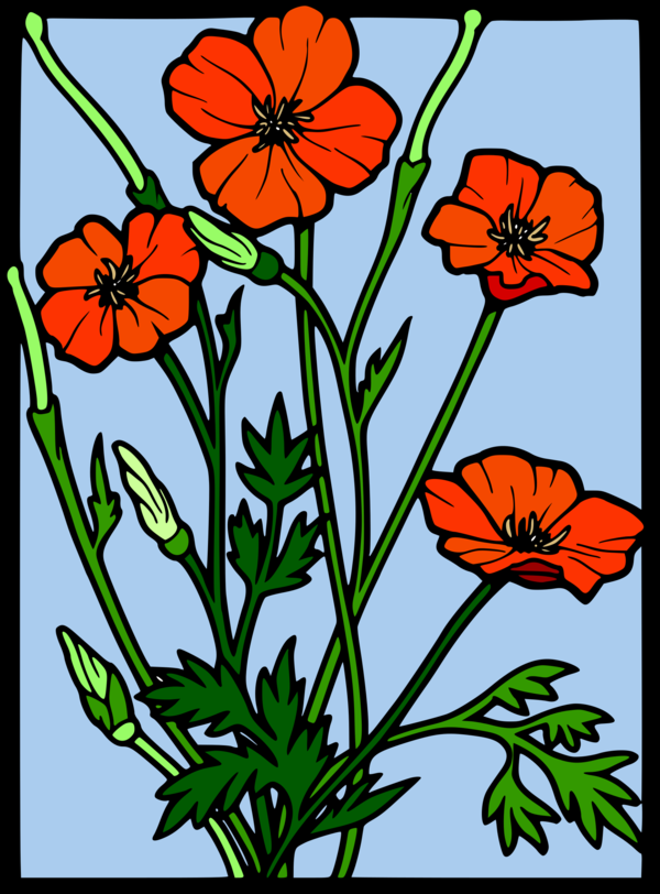 Free Poppy Flower Flower Plant Flora Clipart Clipart Transparent Background