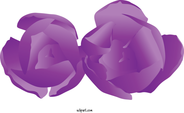 Free Flowers Purple Violet Lilac For Rose Clipart Transparent Background