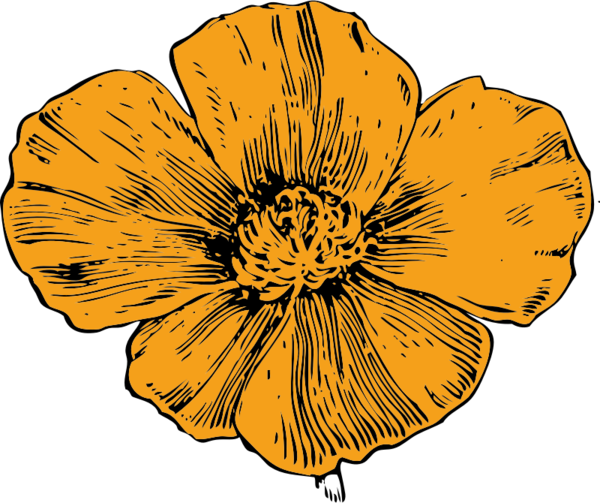 Free Poppy Flower Flower Flora Petal Clipart Clipart Transparent Background