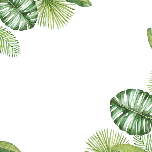 Free Leaf Leaf Vegetation Plant Clipart Clipart Transparent Background