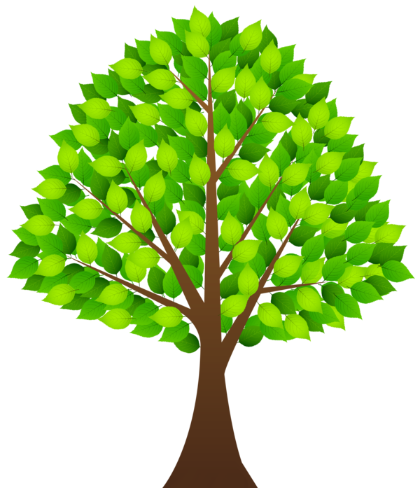 Free Leaf Tree Woody Plant Plant Clipart Clipart Transparent Background