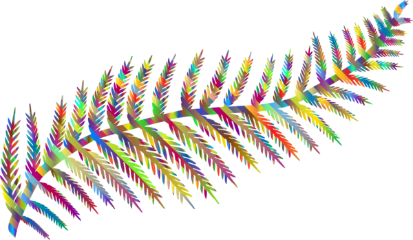 Free Leaf Line Feather Wing Clipart Clipart Transparent Background