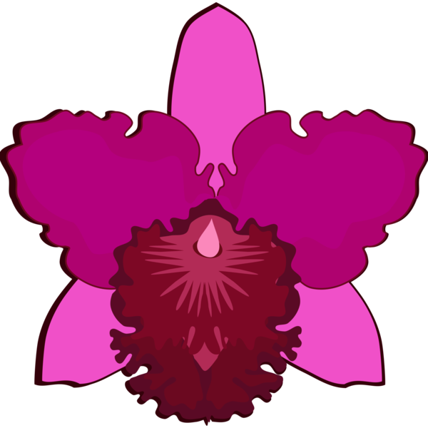 Free Leaf Flower Magenta Petal Clipart Clipart Transparent Background