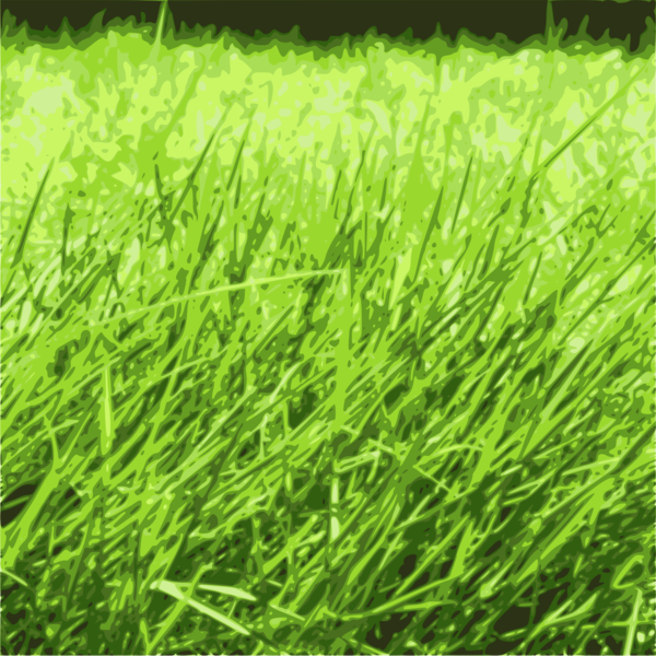 Free Grass Grass Grass Family Plant Clipart Clipart Transparent Background