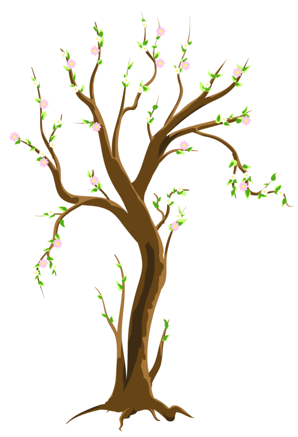 Free Leaf Flower Tree Branch Clipart Clipart Transparent Background
