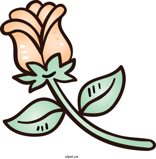 Free Holidays Leaf Plant Symbol For Valentines Day Clipart Transparent Background