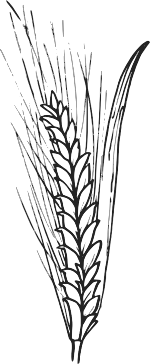 Free Grass Plant Black And White Line Art Clipart Clipart Transparent Background