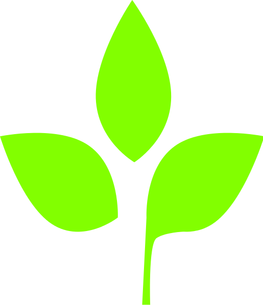 Free Grass Leaf Plant Plant Stem Clipart Clipart Transparent Background