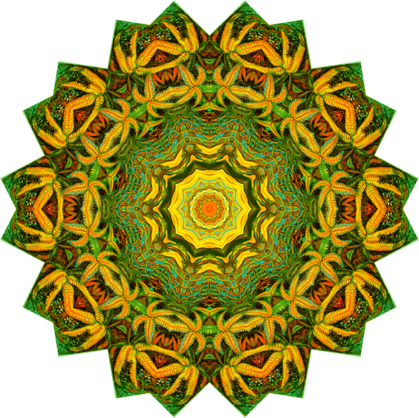 Free Leaf Leaf Symmetry Circle Clipart Clipart Transparent Background