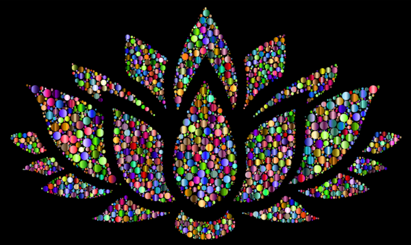 Free Leaf Leaf Symmetry Fractal Art Clipart Clipart Transparent Background