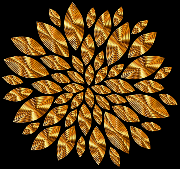 Free Leaf Leaf Symmetry Still Life Photography Clipart Clipart Transparent Background
