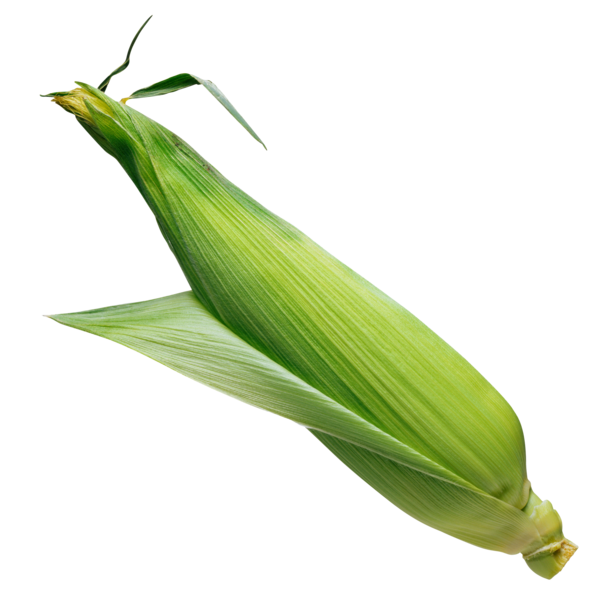 Free Leaf Corn On The Cob Sweet Corn Leaf Clipart Clipart Transparent Background