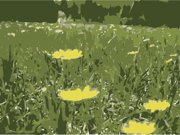 Free Grass Flower Meadow Ecosystem Clipart Clipart Transparent Background