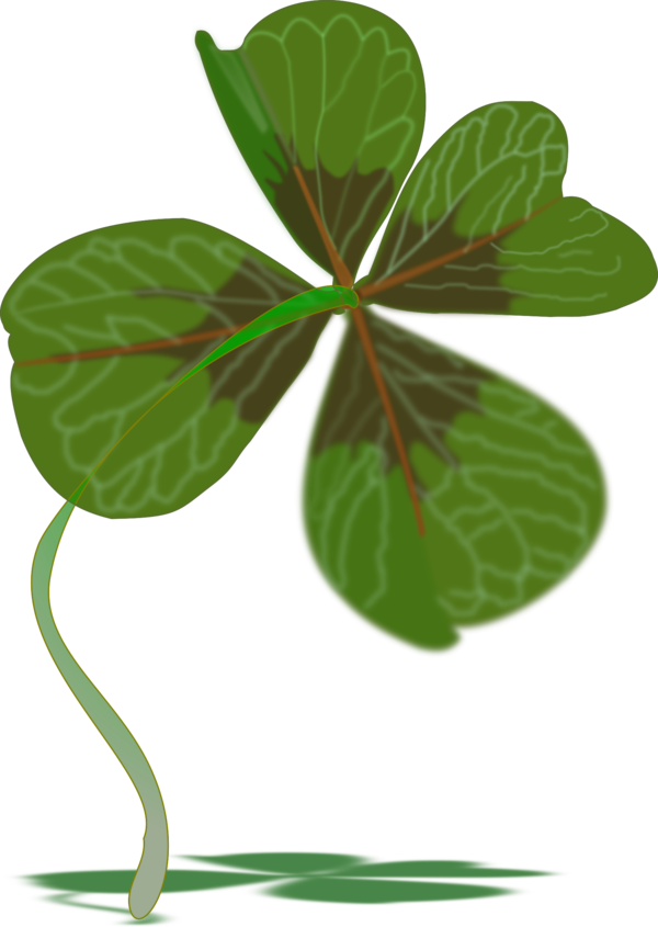 Free Leaf Leaf Plant Plant Stem Clipart Clipart Transparent Background