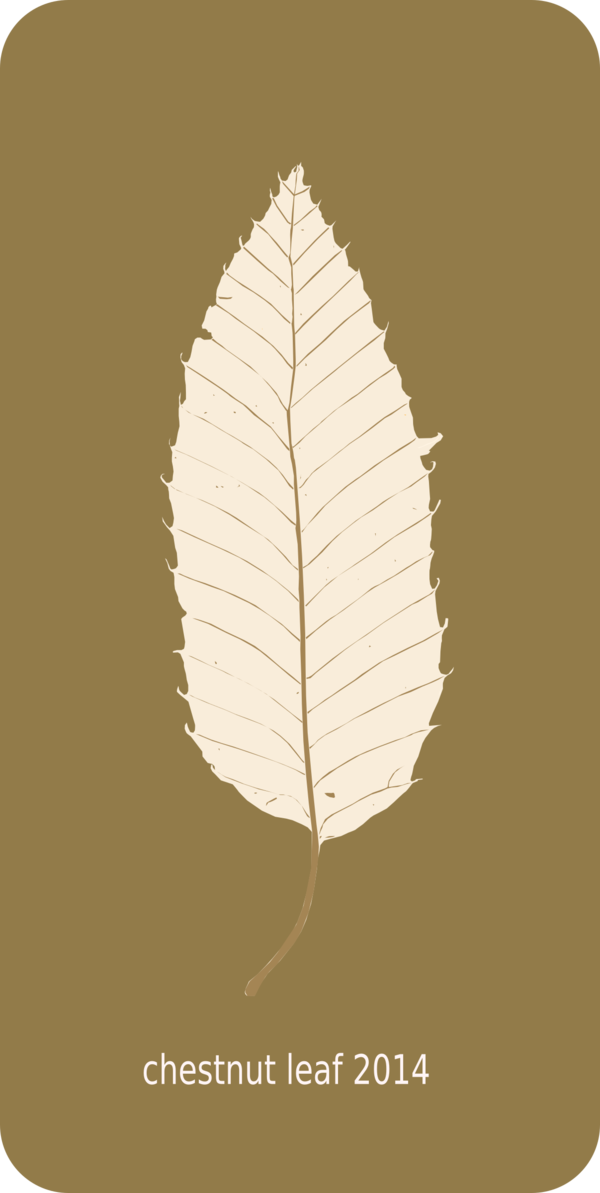Free Leaf Leaf Plant Feather Clipart Clipart Transparent Background