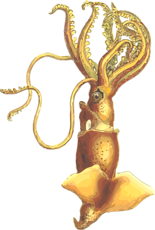 Free Octopus Octopus Metal Gold Clipart Clipart Transparent Background
