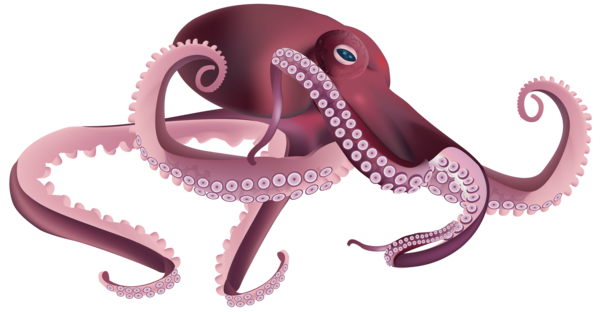Free Octopus Octopus Mouth Clipart Clipart Transparent Background