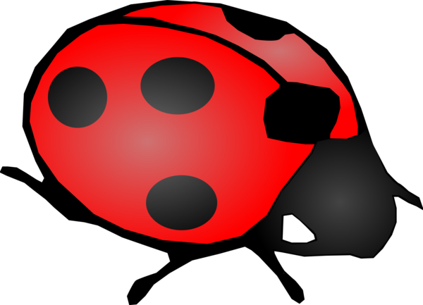 Free Insect Ladybird Snout Insect Clipart Clipart Transparent Background