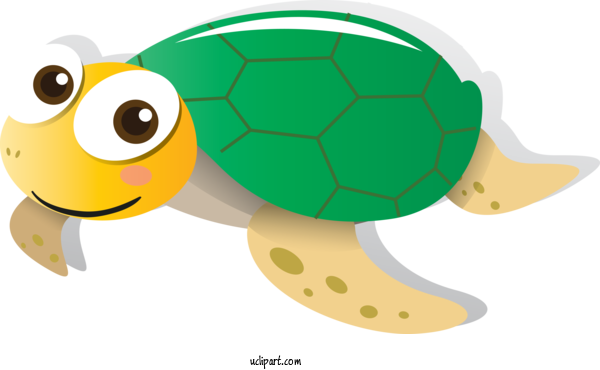 Free Animals Sea Turtle Tortoise Cartoon For Turtle Clipart Transparent Background