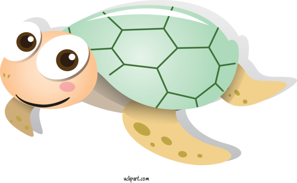 Free Animals Tortoise Sea Turtle Turtle For Turtle Clipart Transparent Background