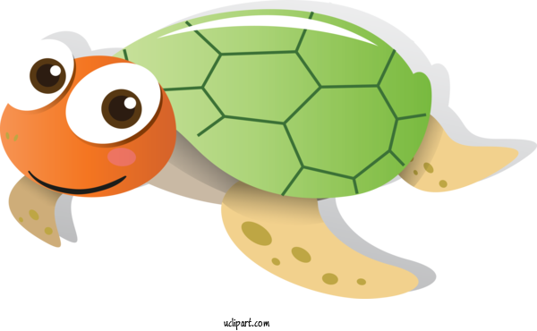 Free Animals Tortoise Sea Turtle Turtle For Turtle Clipart Transparent Background