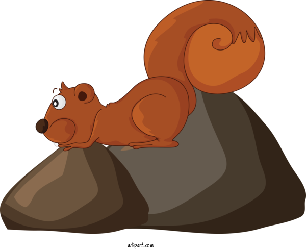 Free Animals Squirrel Cartoon Beaver For Squirrel Clipart Transparent Background