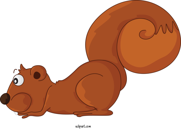 Free Animals Squirrel Cartoon Tail For Squirrel Clipart Transparent Background