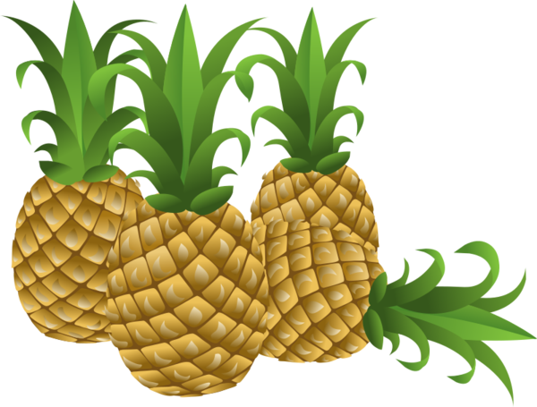 Free Fruit Ananas Pineapple Fruit Clipart Clipart Transparent Background