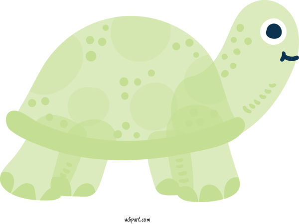 Free Animals Tortoise Turtle Green For Turtle Clipart Transparent Background