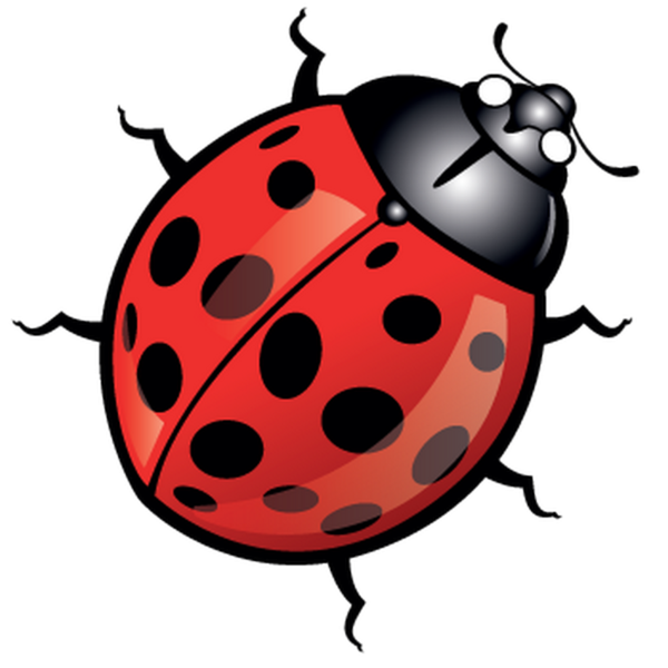 Free Fruit Ladybird Insect Beetle Clipart Clipart Transparent Background