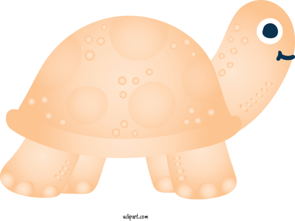 Free Animals Cartoon Tortoise Turtle For Turtle Clipart Transparent Background