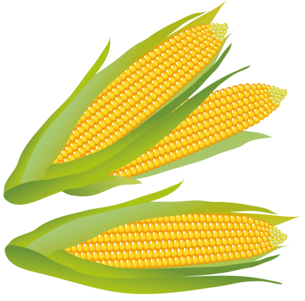 Free Vegetable Corn On The Cob Sweet Corn Maize Clipart Clipart Transparent Background