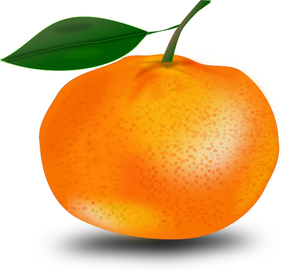 Free Fruit Natural Foods Fruit Clementine Clipart Clipart Transparent Background