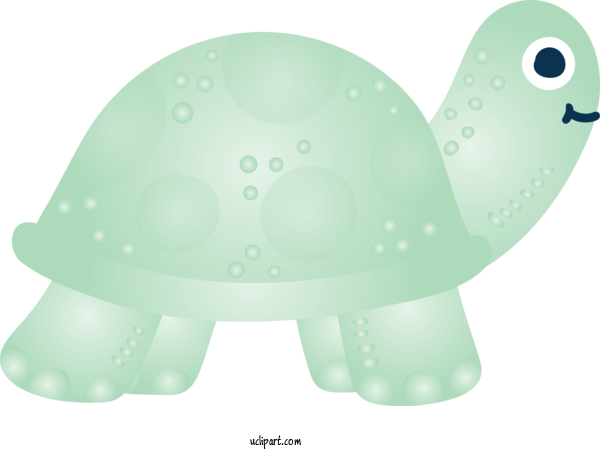 Free Animals Turtle Tortoise Cartoon For Turtle Clipart Transparent Background