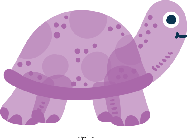 Free Animals Purple Cartoon Violet For Turtle Clipart Transparent Background