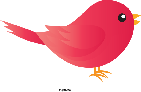 Free Animals Bird Beak Red For Bird Clipart Transparent Background