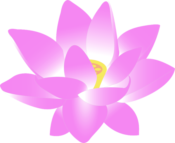 Free Lotus Flower Flower Petal Violet Clipart Clipart Transparent Background